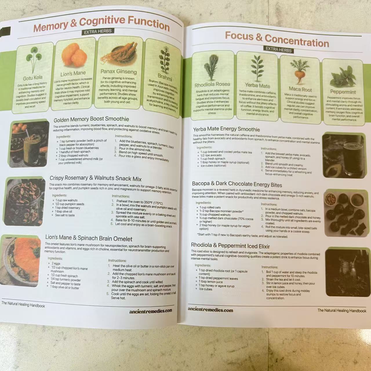 دليل الشفاء الطبيعي |   دليل ا - مراجعة Herbal Holistic Wellness وسعره