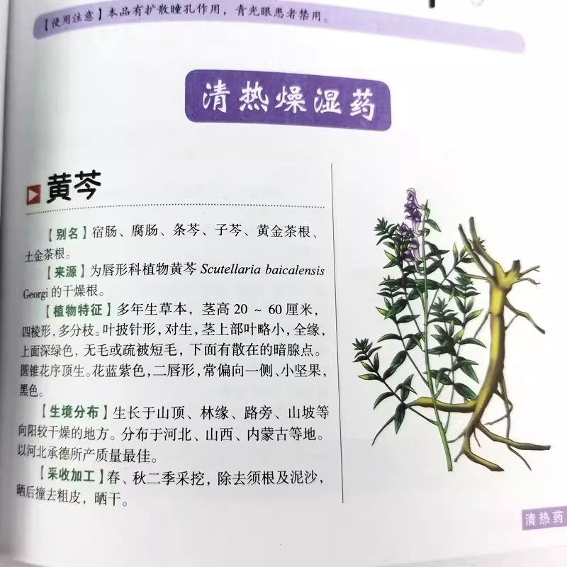 كتاب الدليل الشامل للعافية من  - مراجعة Herbal Holistic Wellness وسعره